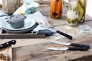 Набор ножей для стейков Zwilling 39028-120-0 4 штуки - фото 6161
