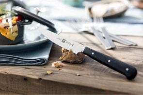 Набор ножей для стейков Zwilling 39028-120-0 4 штуки - фото 6162